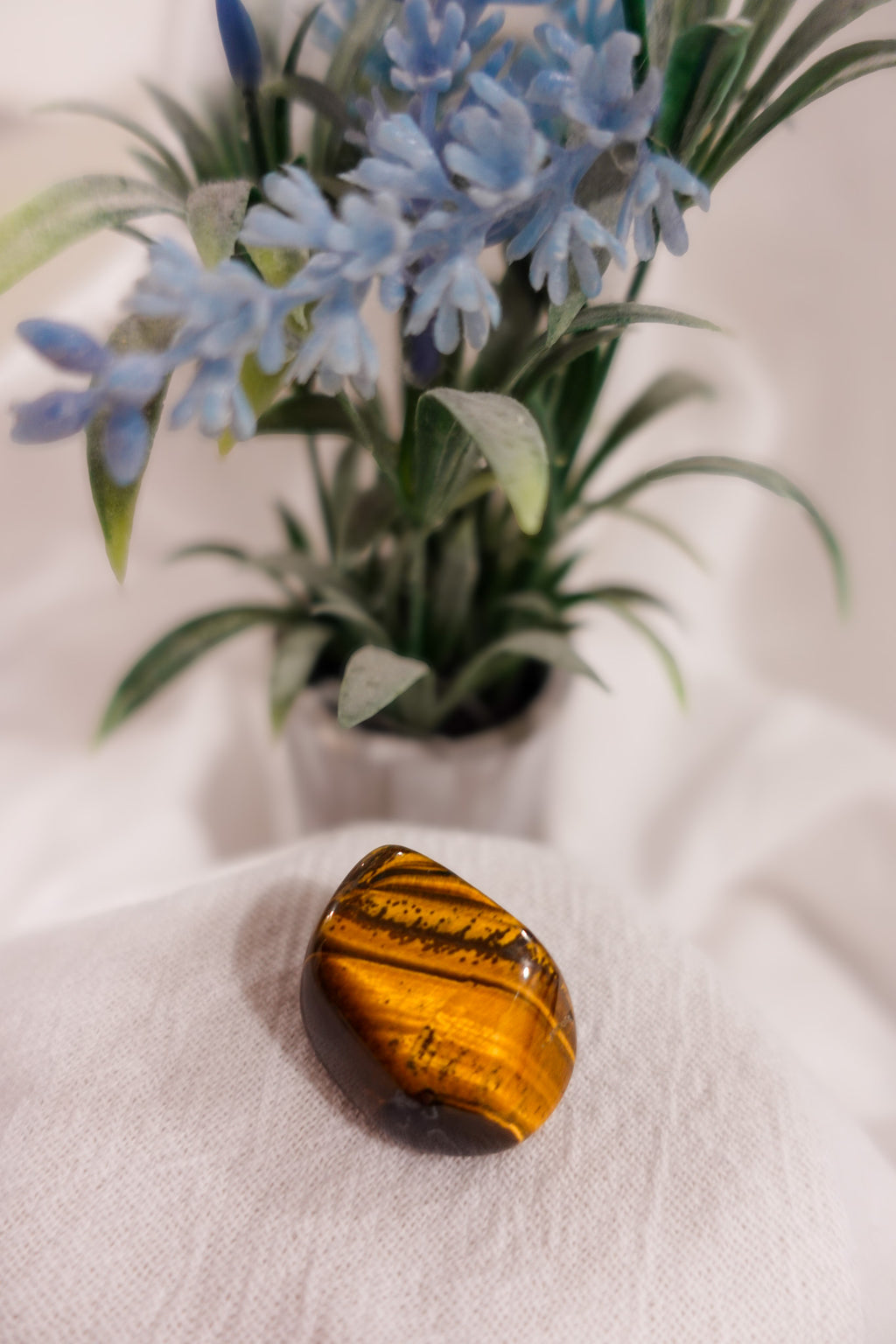 Tigers Eye