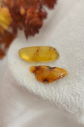 Amber Polished