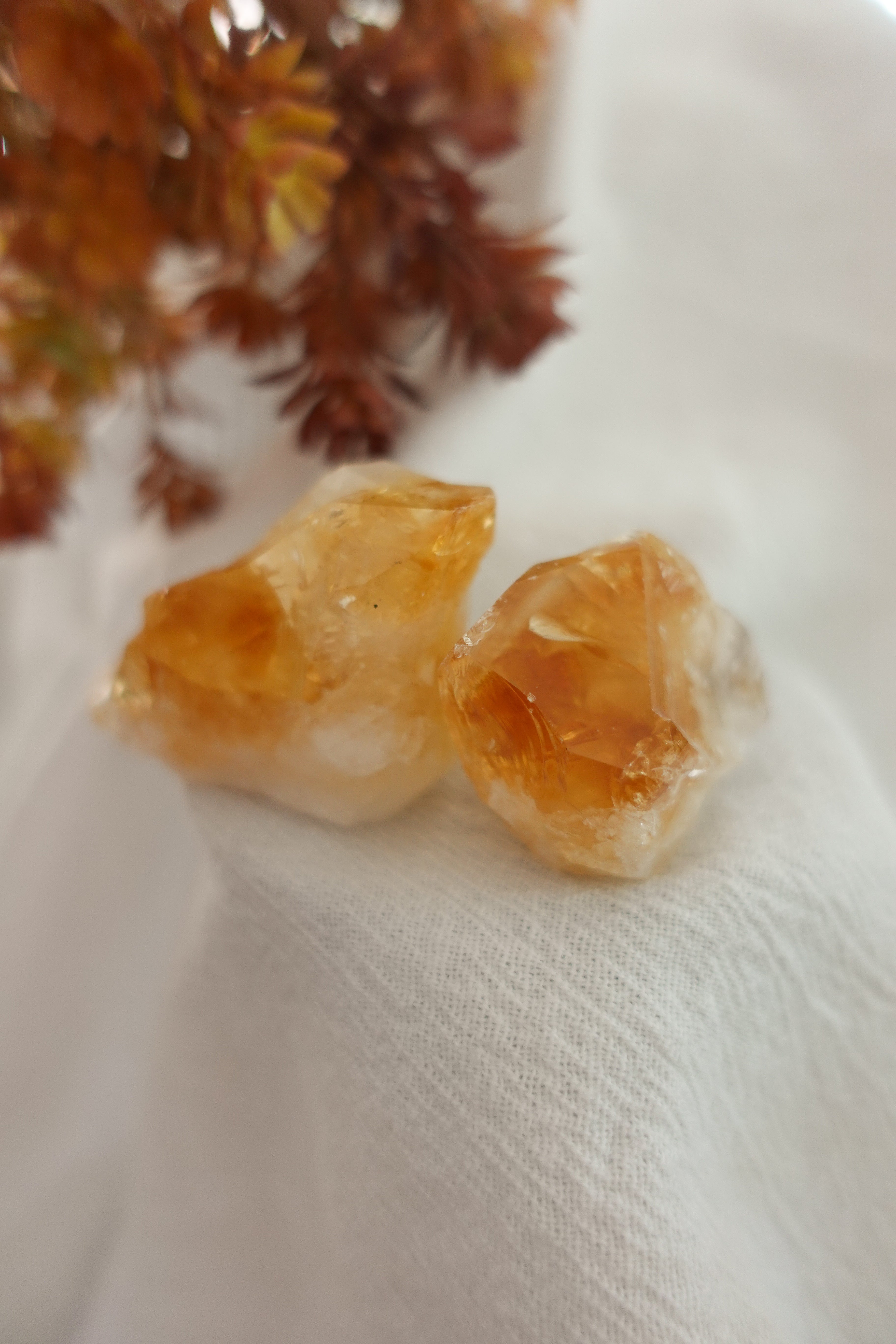 Citrine L