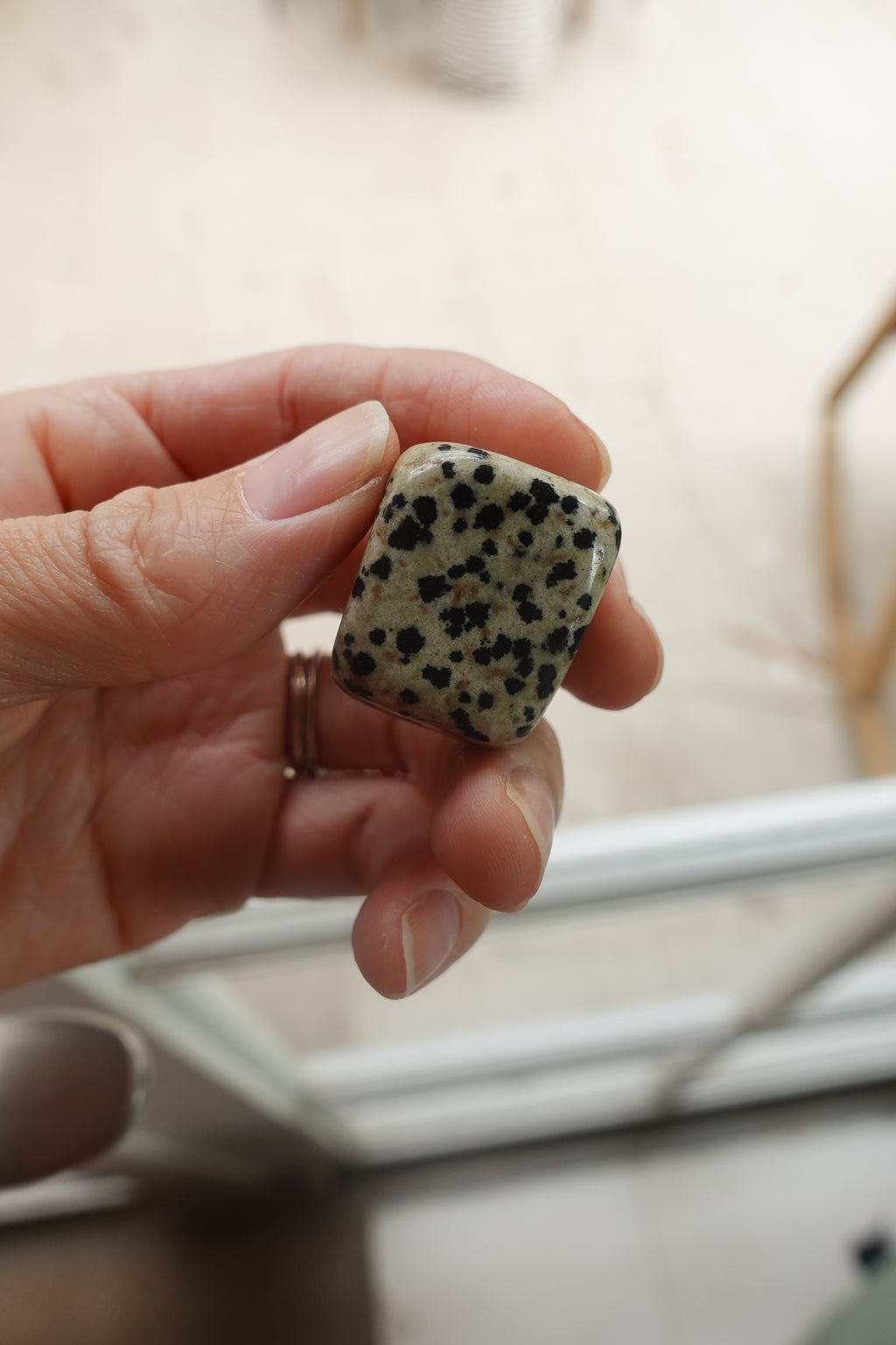Dalmatian Jasper