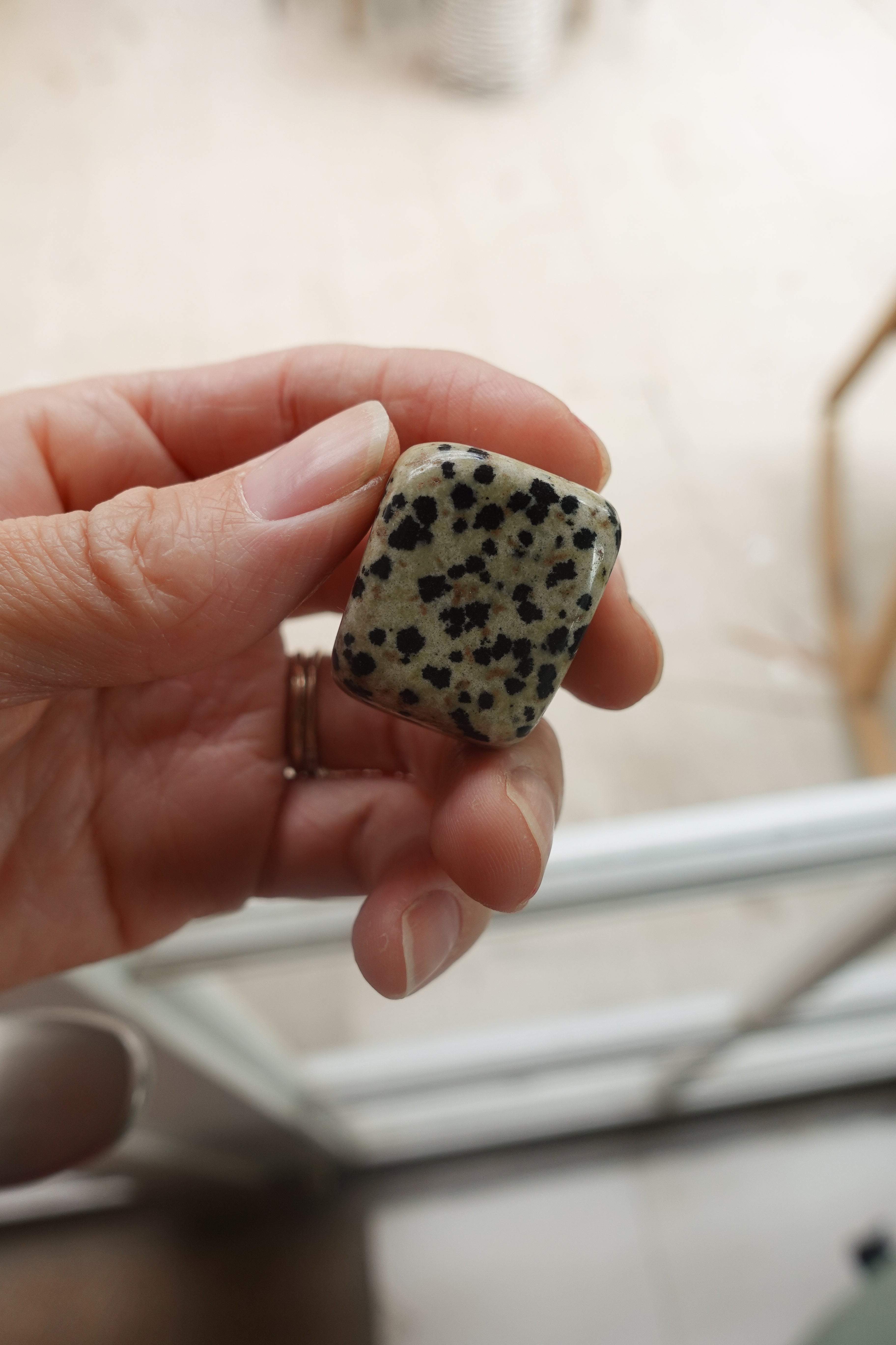 Dalmatian Jasper