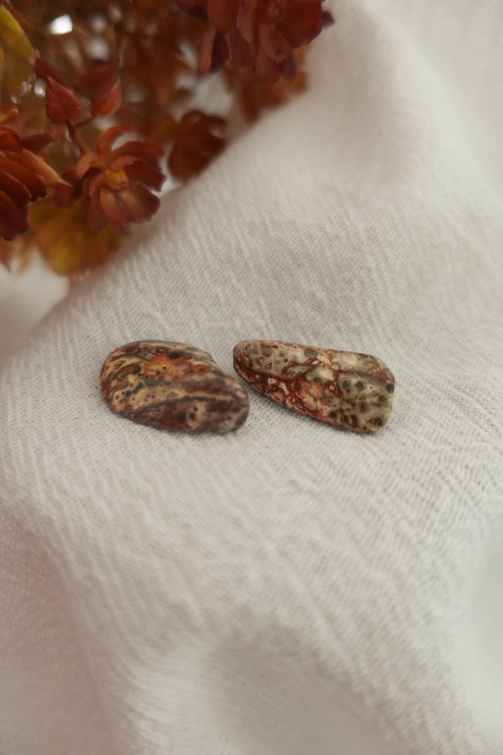 Leopard Skin Jasper