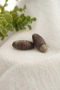 Shiva Stone
