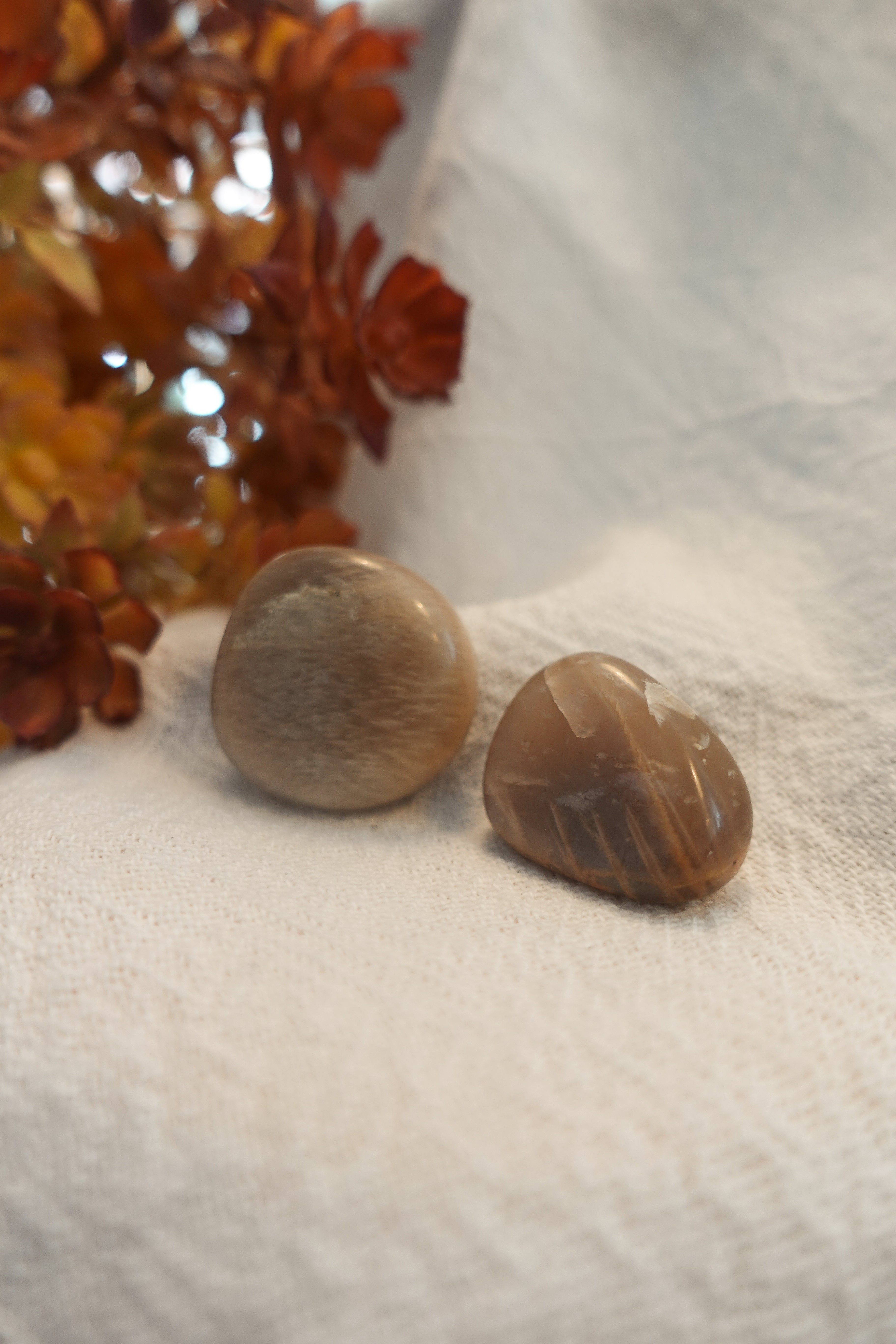 Moonstone Black
