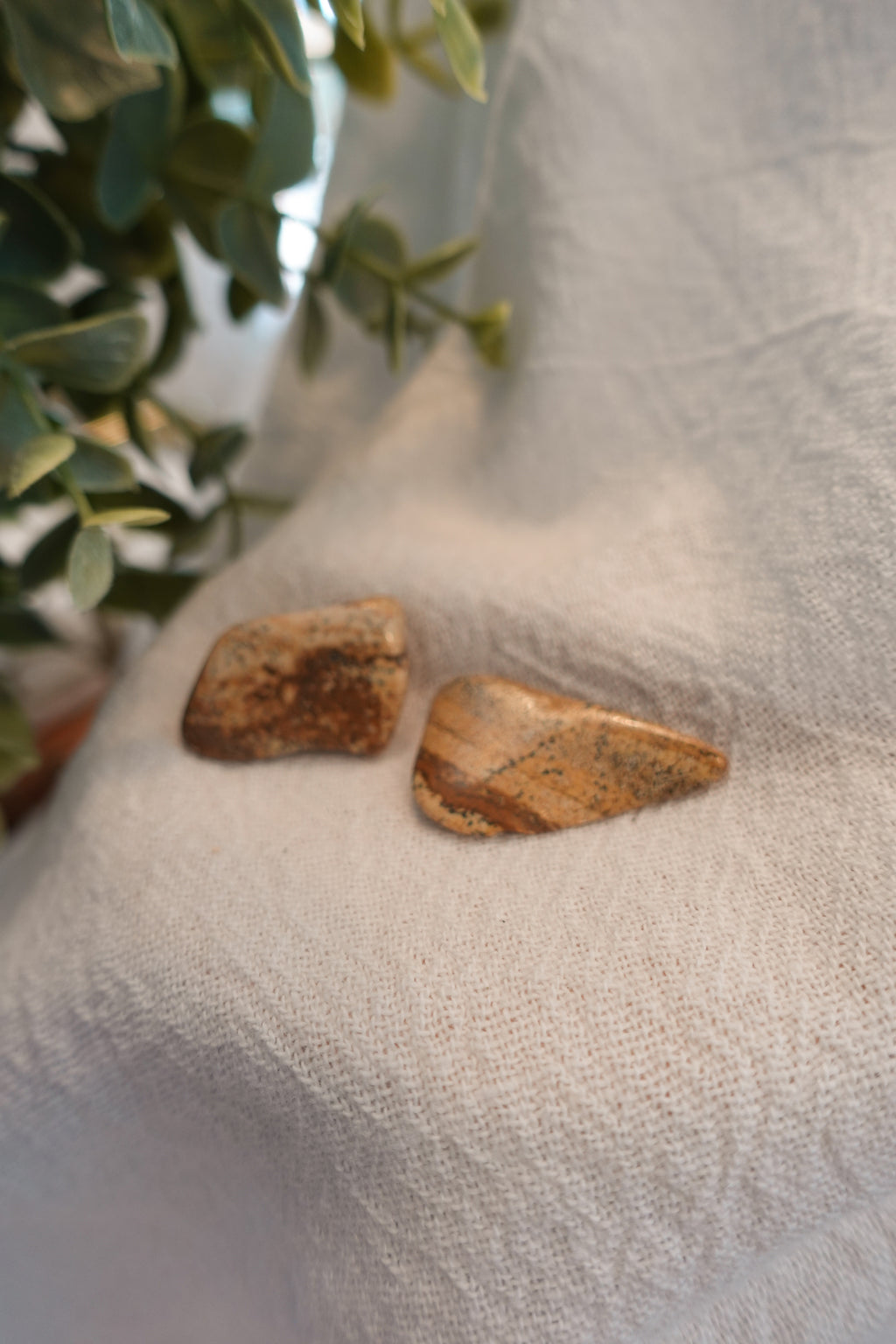 Picture Jasper