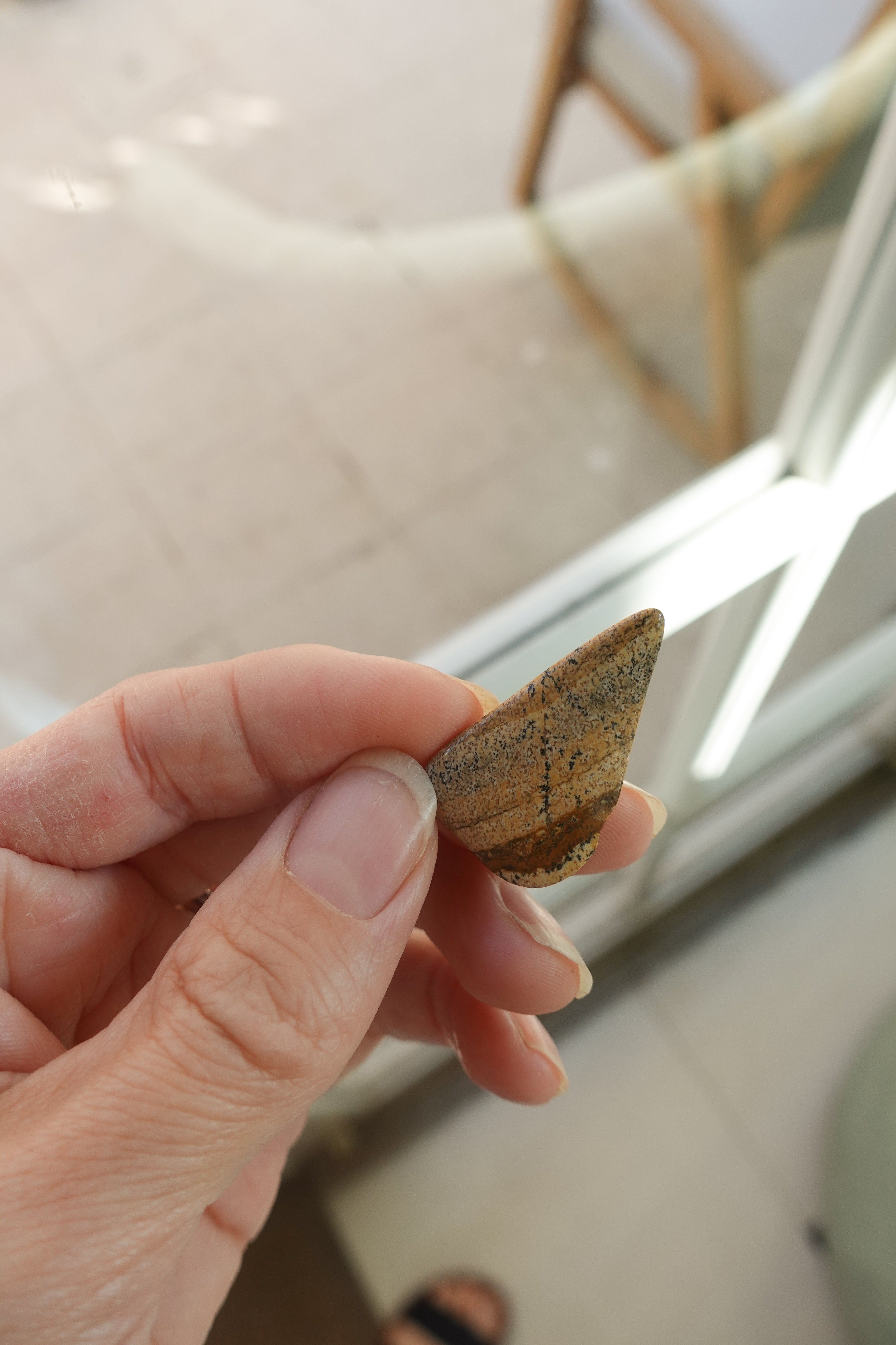 Picture Jasper