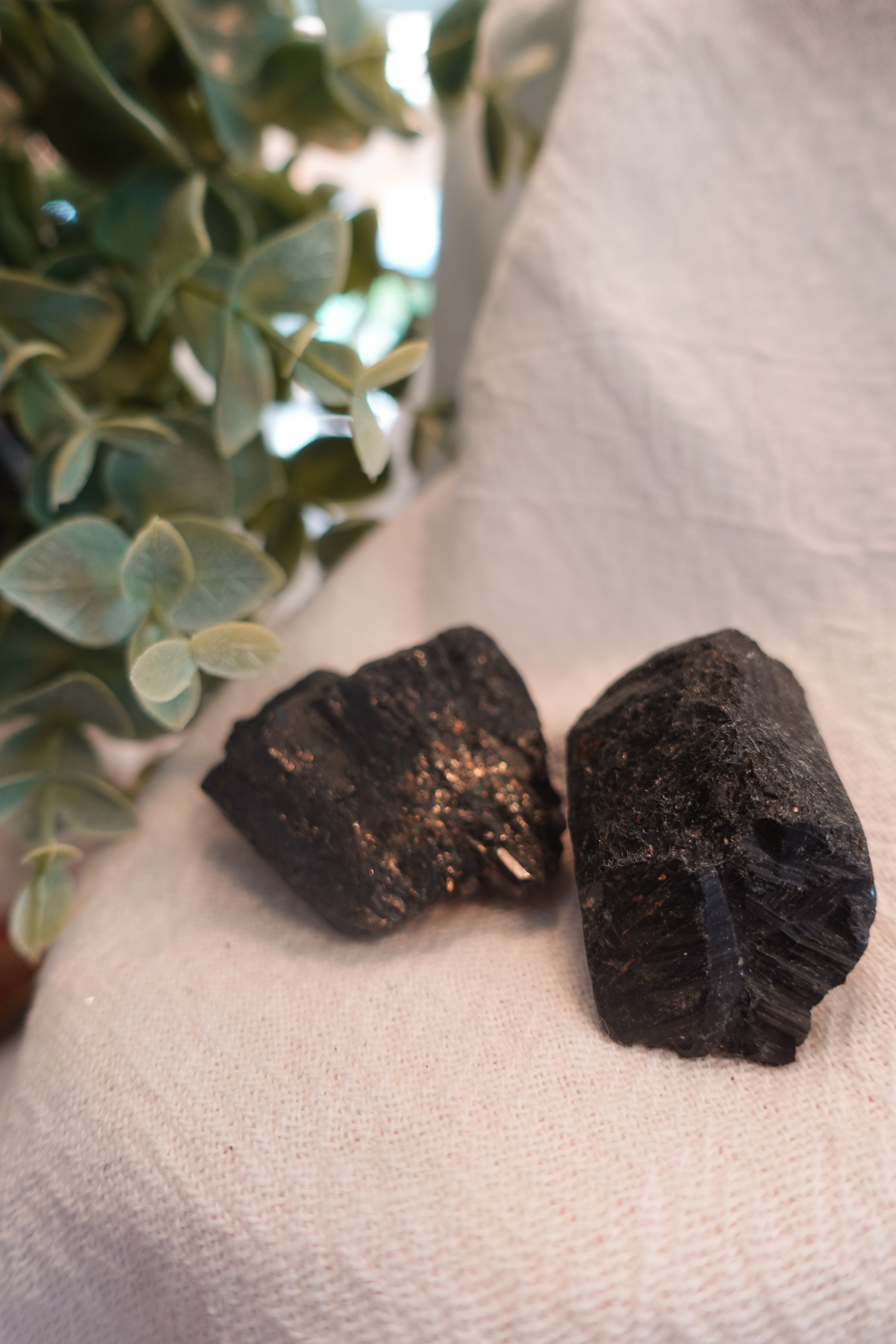 Black Tourmaline Medium