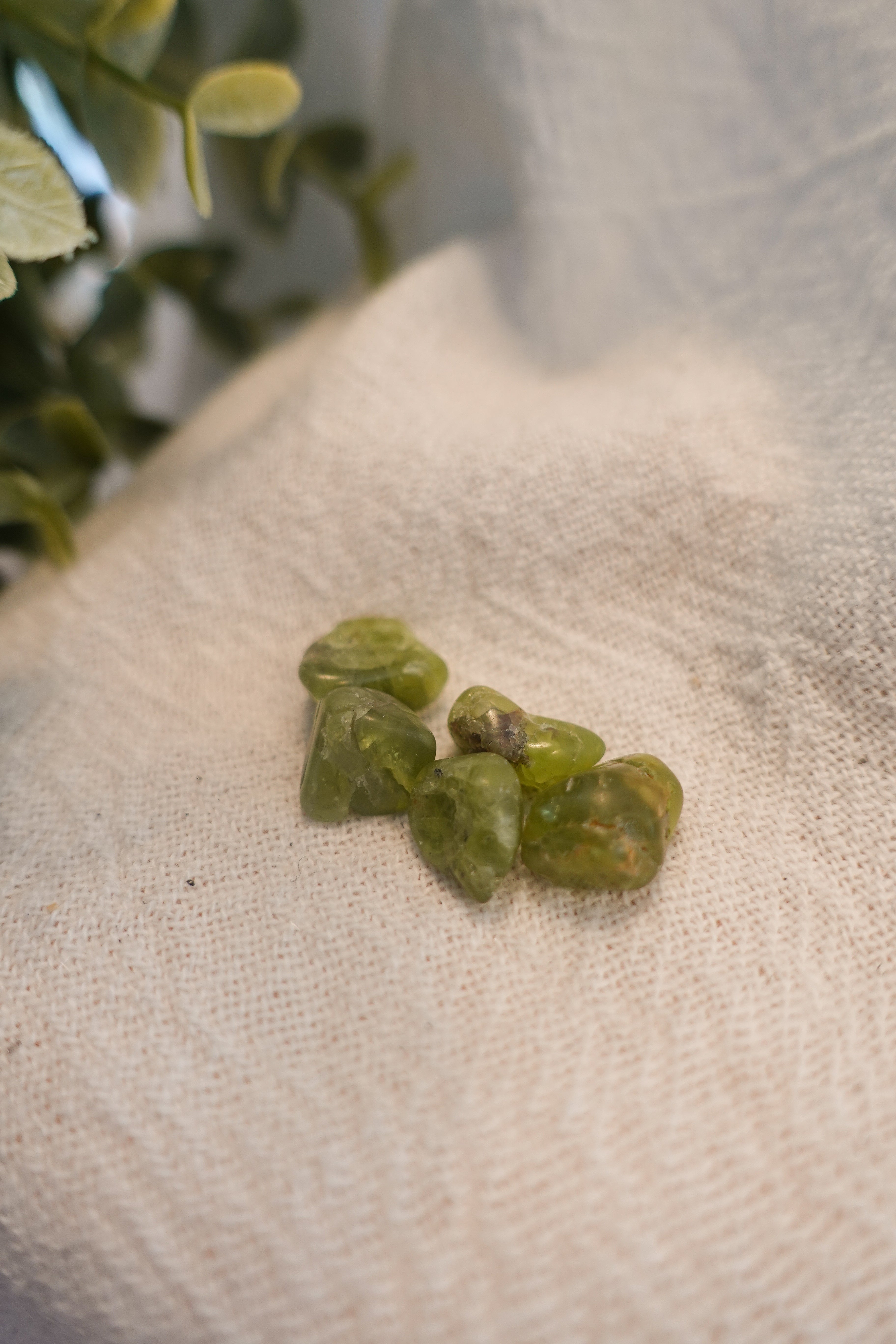 Peridot Extra Small (Set of 5)