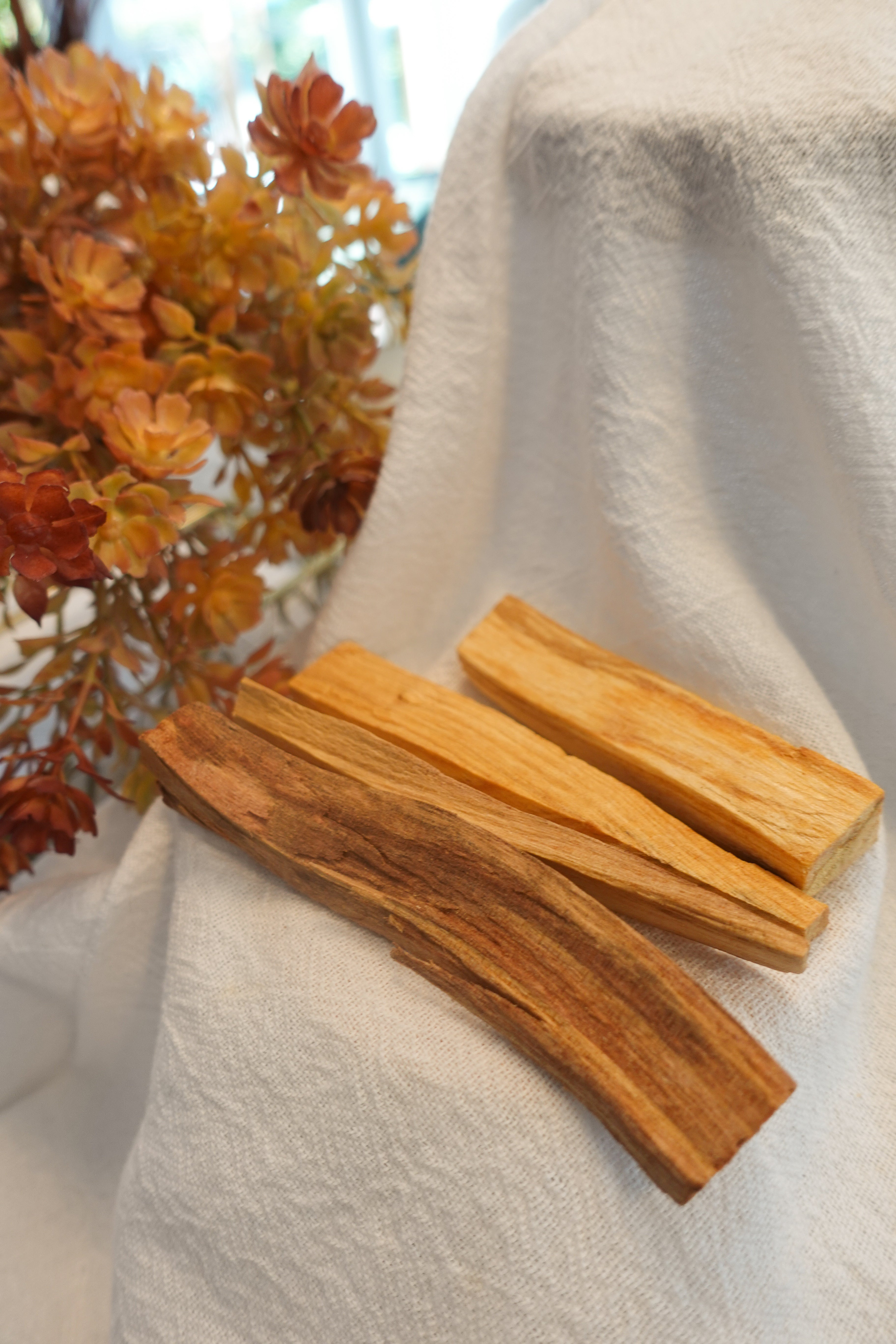 Palo Santo Sticks (Set of 4)