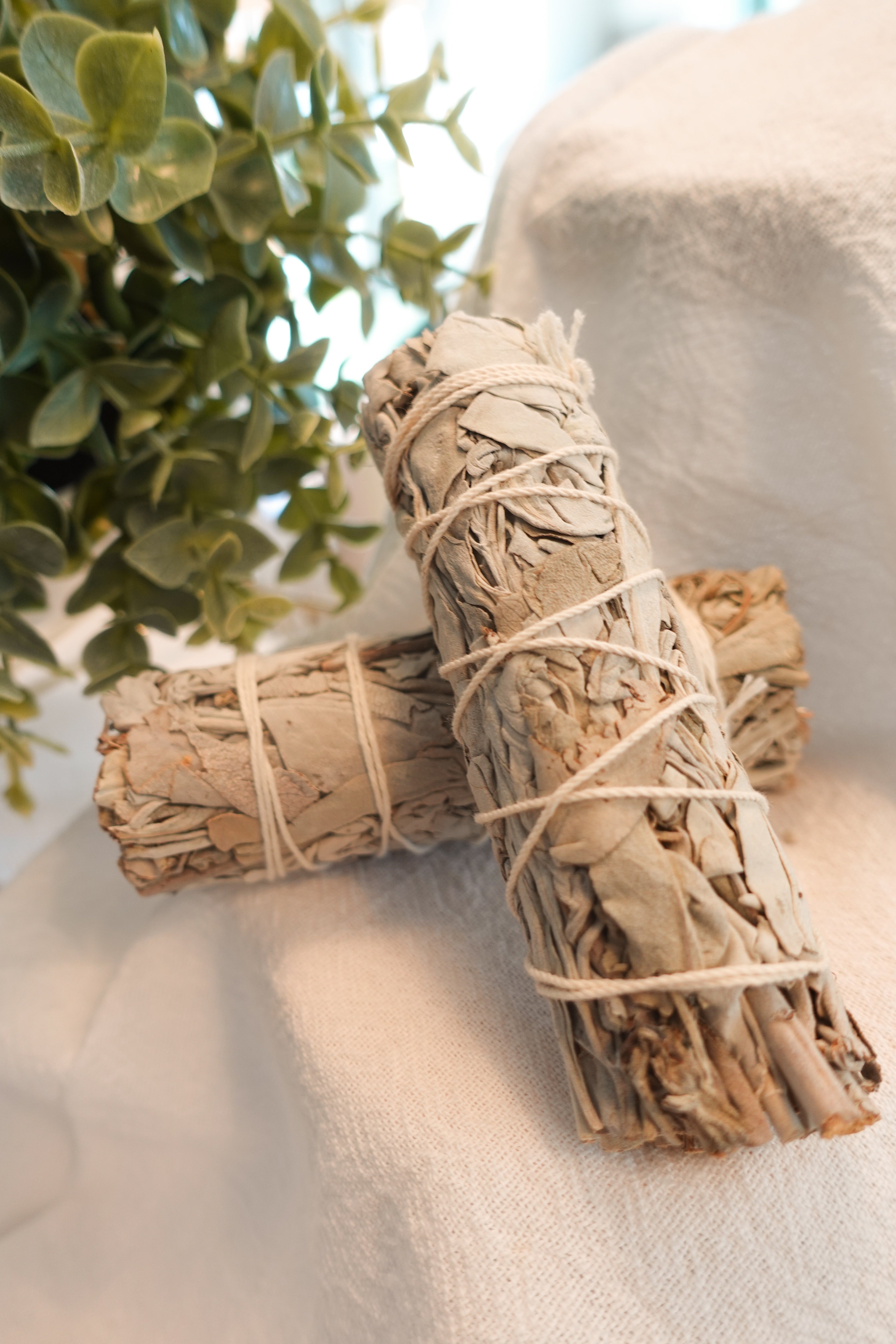 White Sage Bundle