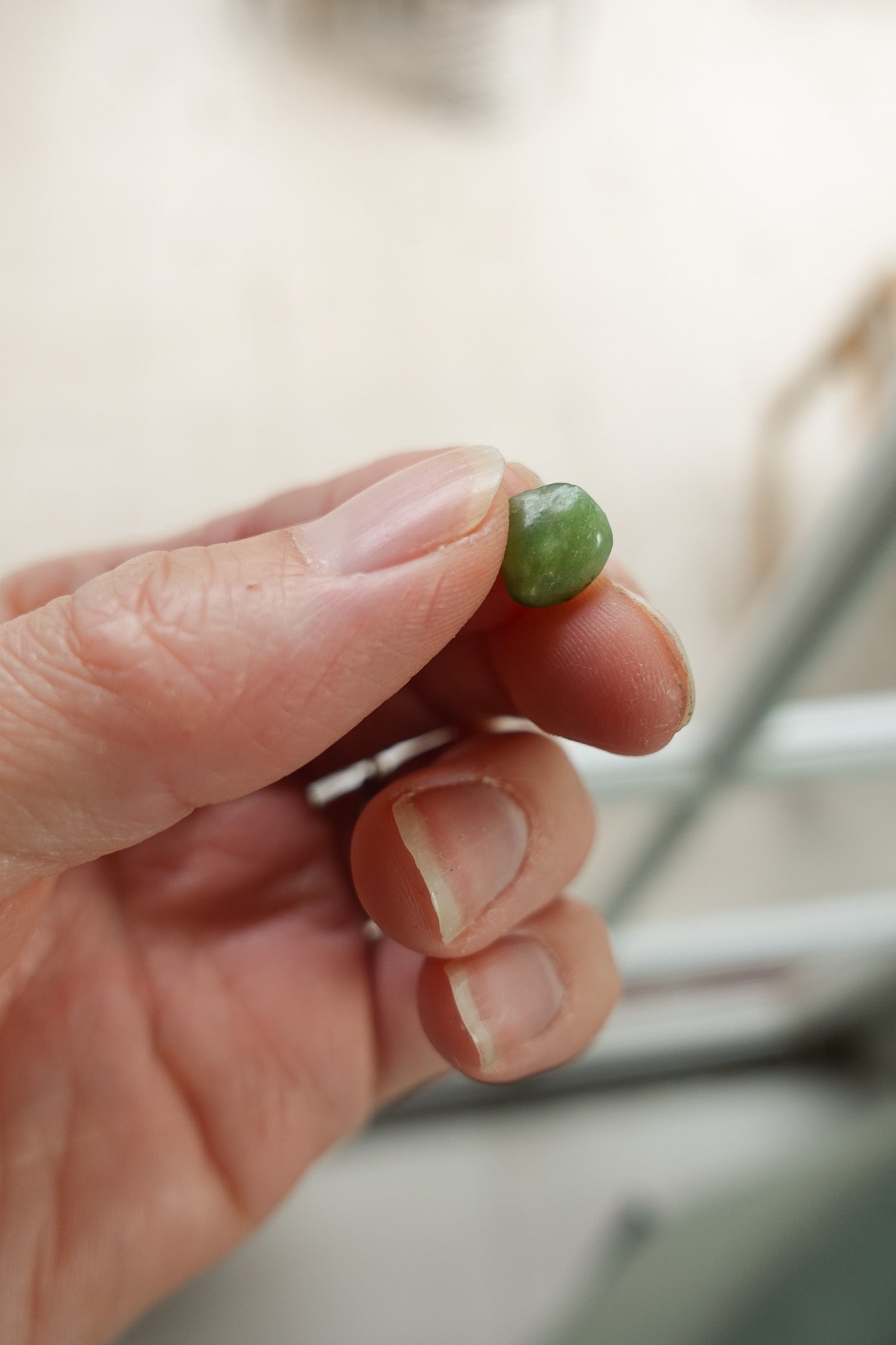 Jade Chips