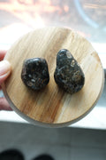 Turritella Agate