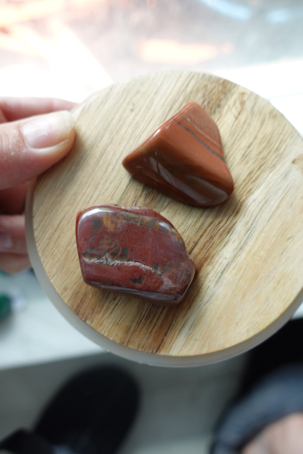 Petrified Wood Tumbled