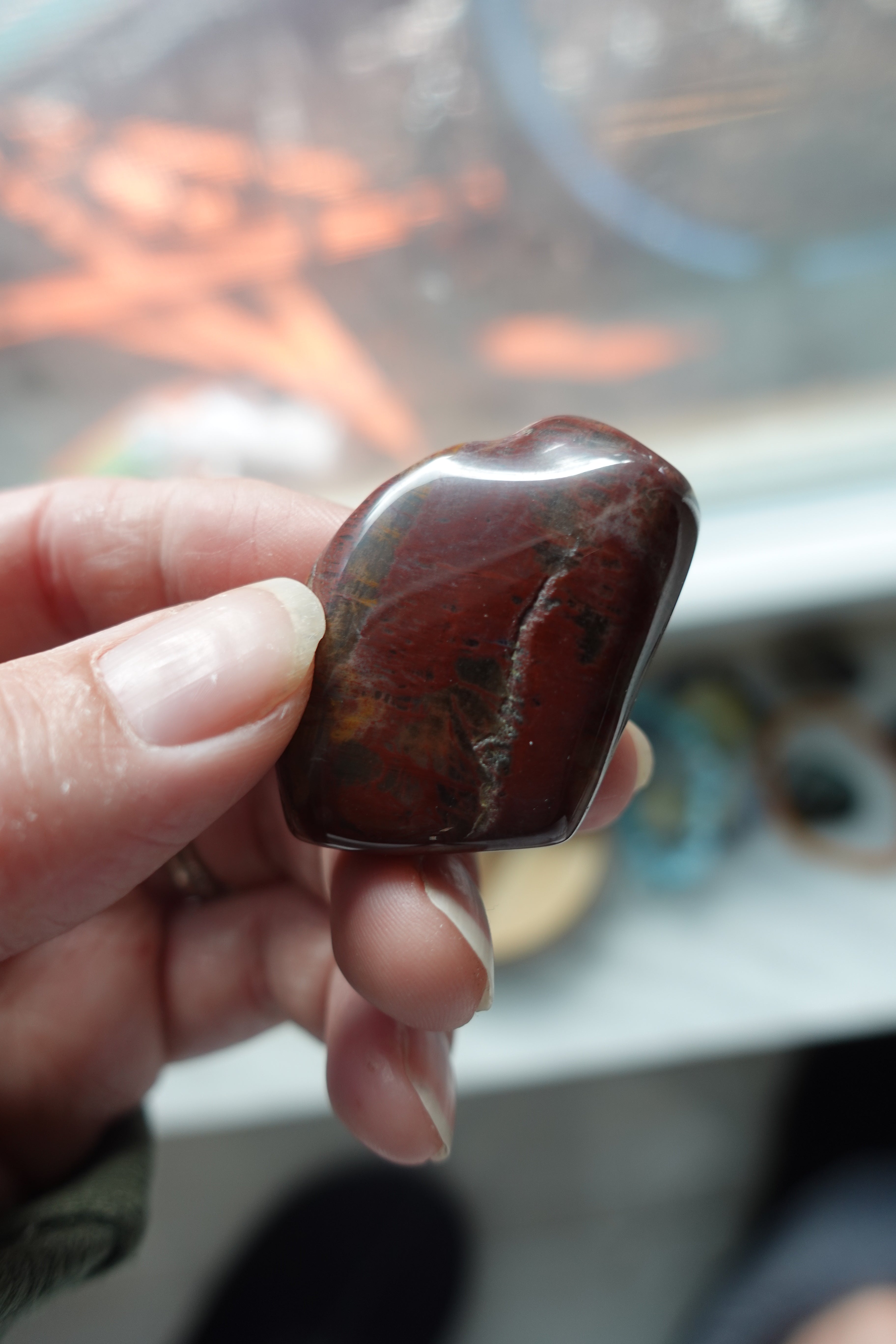 Petrified Wood Tumbled