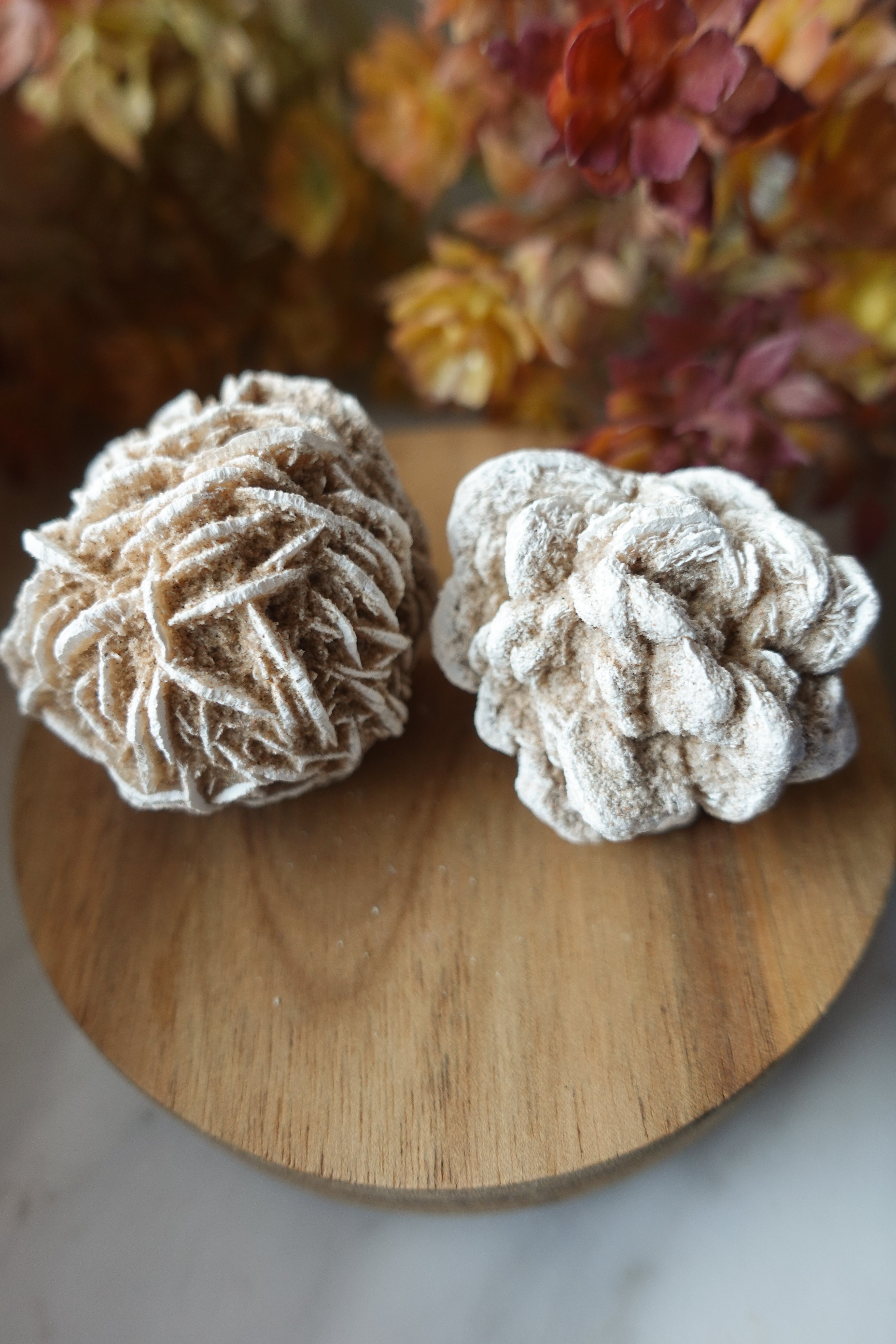 Desert Rose Selenite s