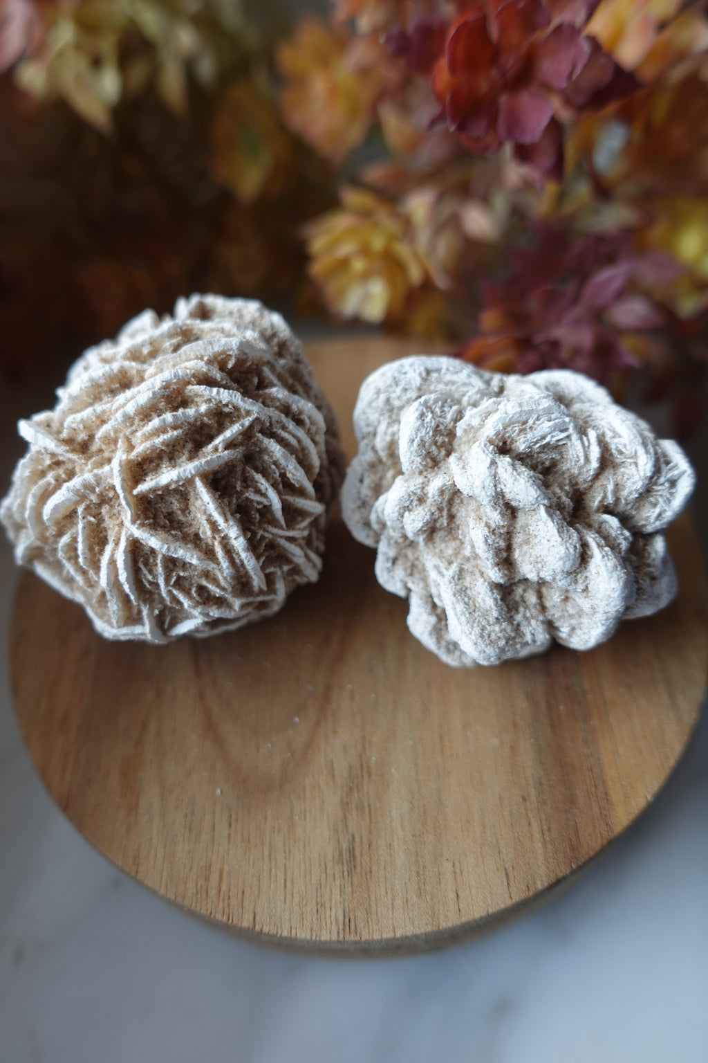Dessert Rose Selenite