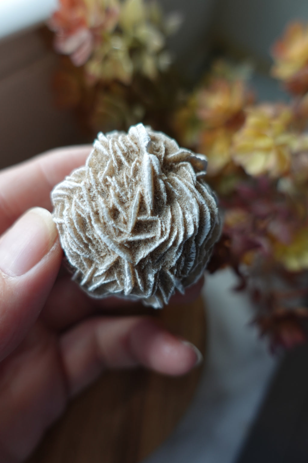 Dessert Rose Selenite