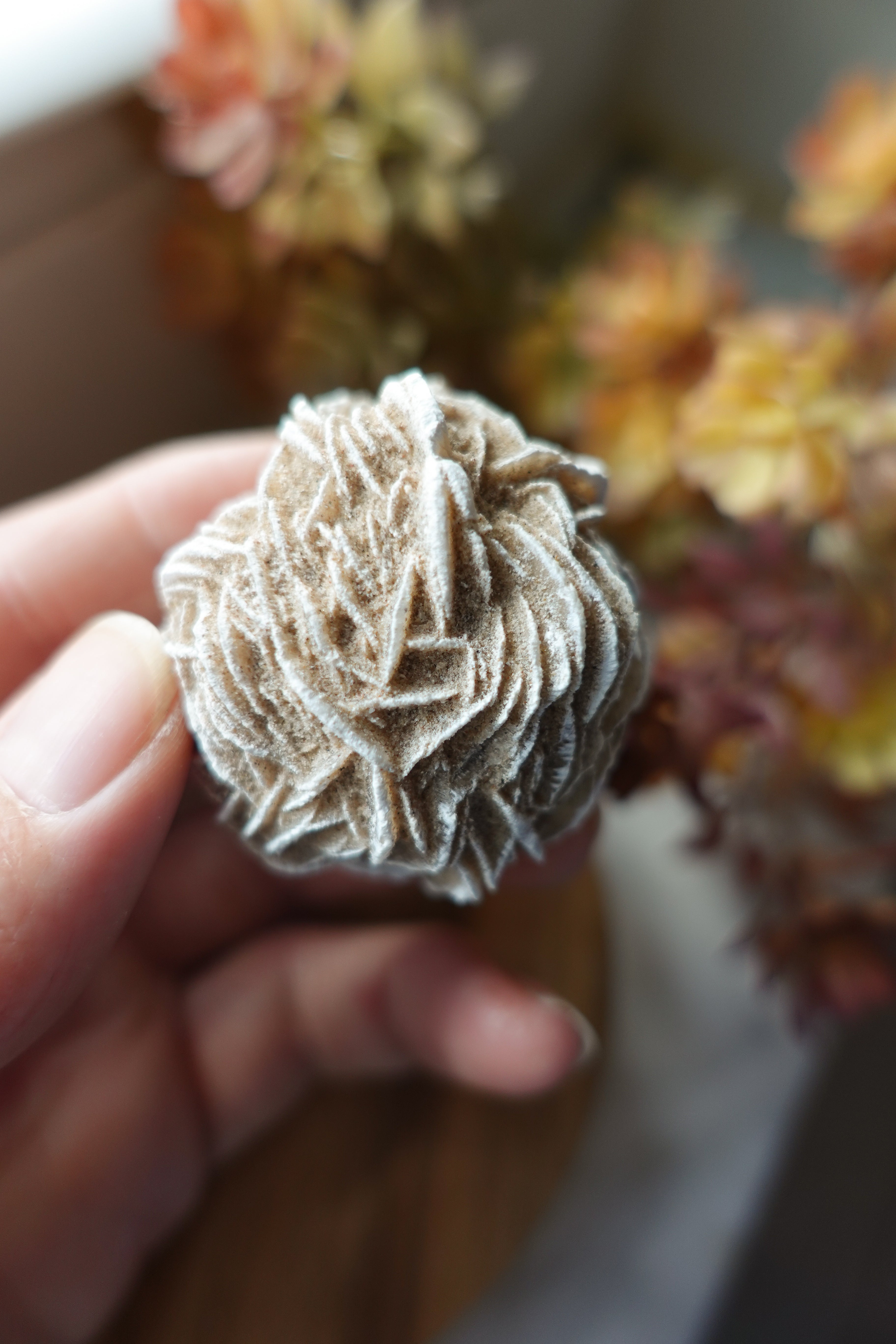 Desert Rose Selenite s