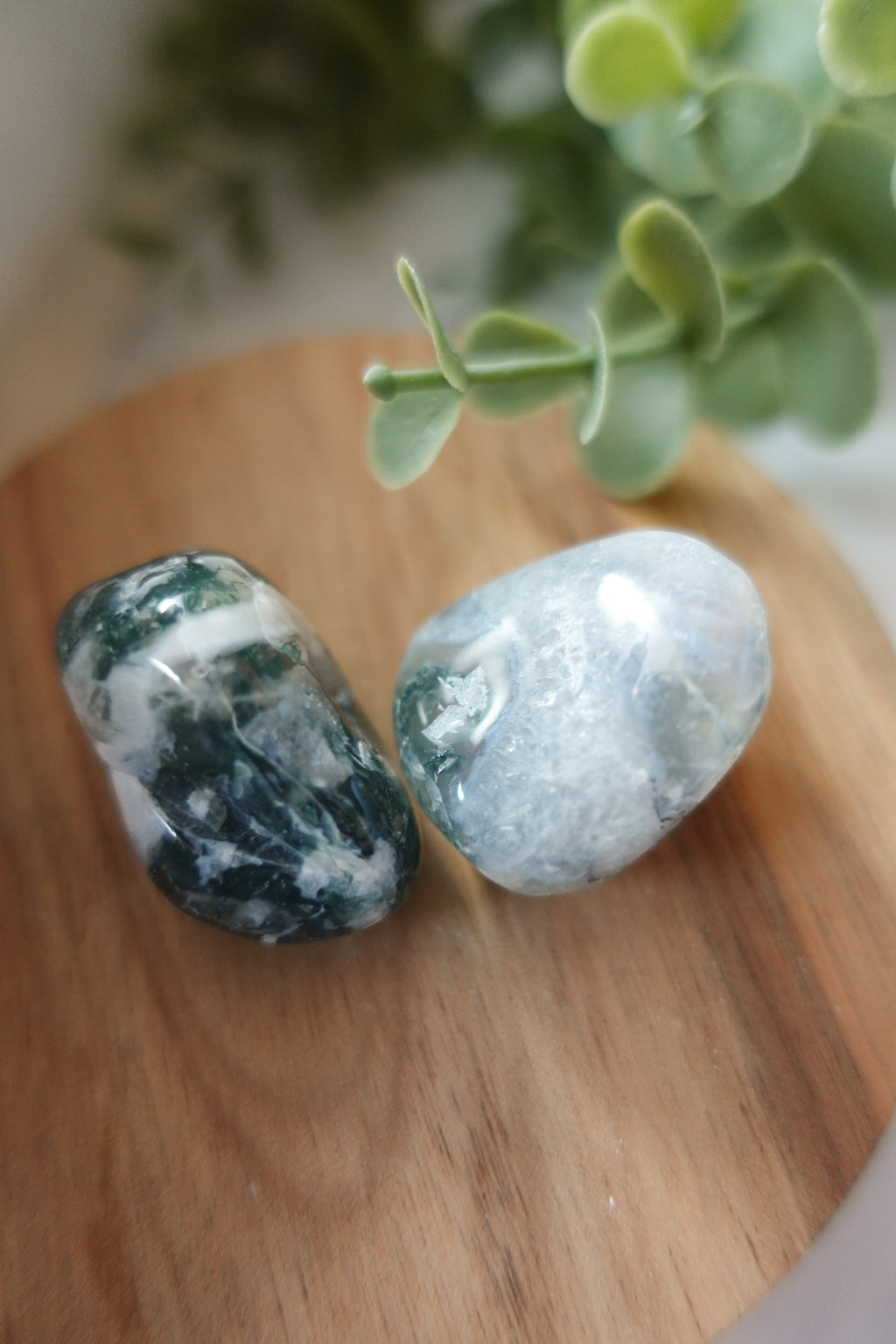 Moss Agate Tumbled