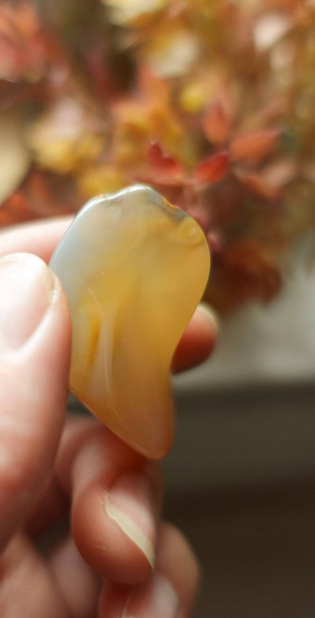 Agate L