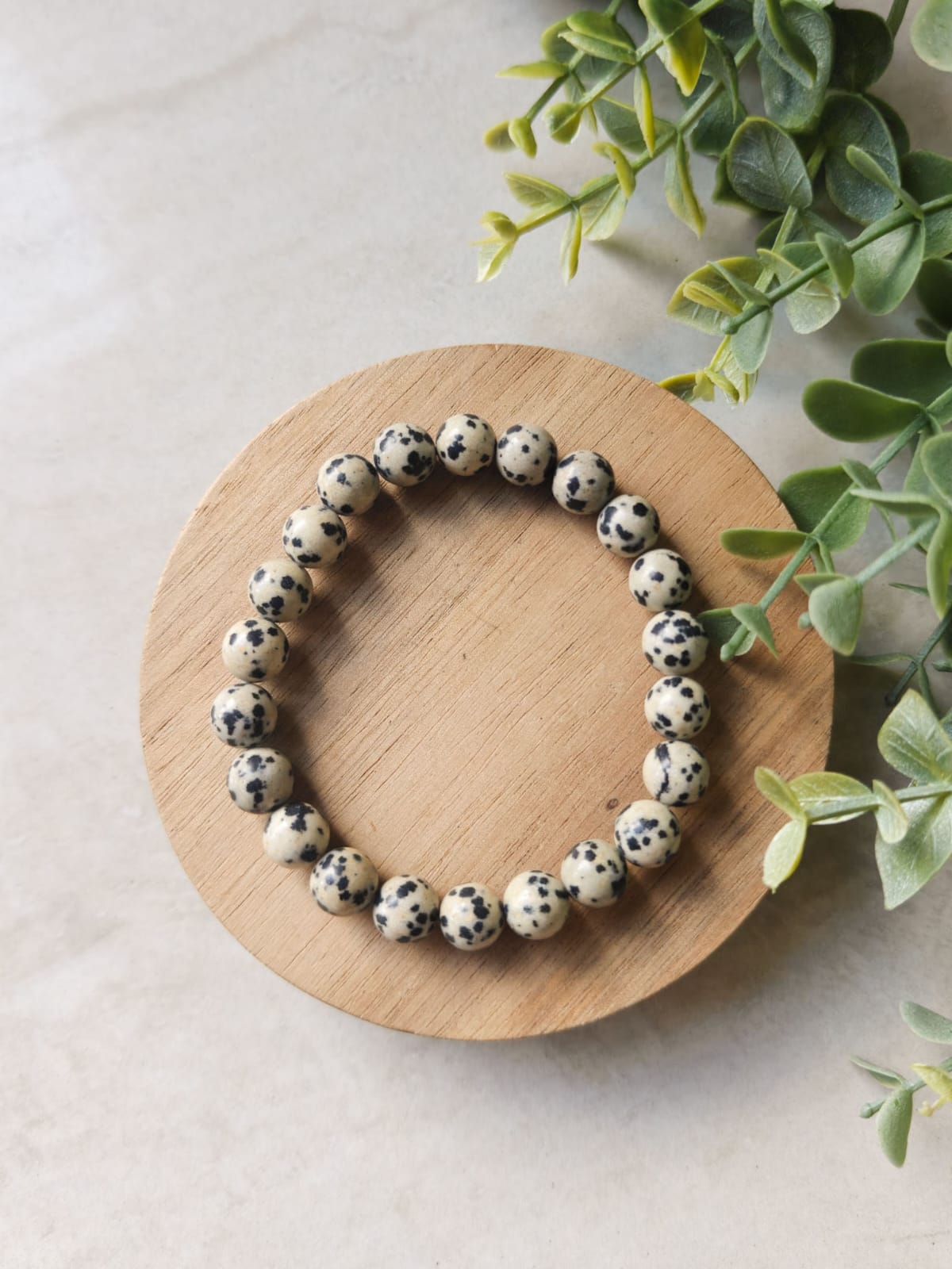 Dalmation Jasper 6mm Bracelet